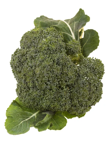 Brocoli — Photo