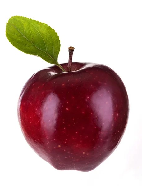 Äpple — Stockfoto