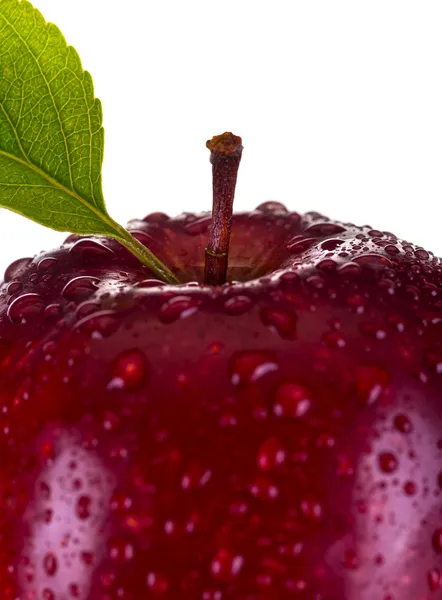 Äpple — Stockfoto