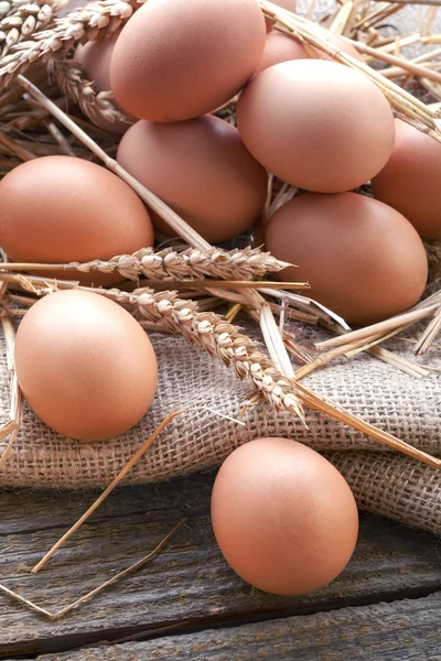 Eggs in the straw — Stock Photo, Image