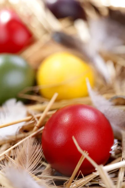 Easter eggs — Stock Photo, Image