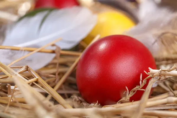 Easter eggs — Stock Photo, Image