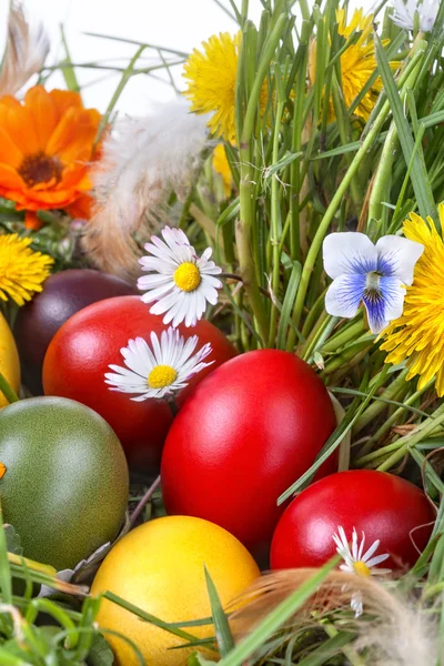 Uova di Pasqua — Foto Stock