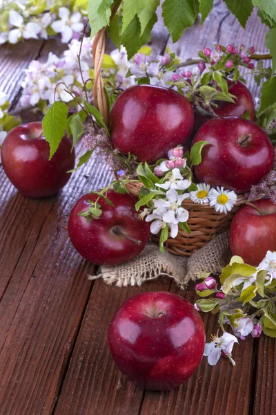 Apples — Stock Photo, Image