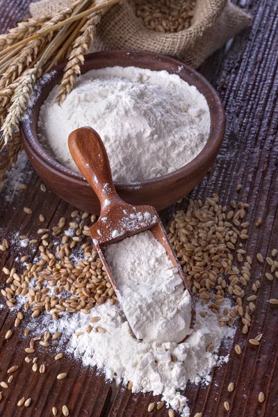 Trigo e farinha — Fotografia de Stock
