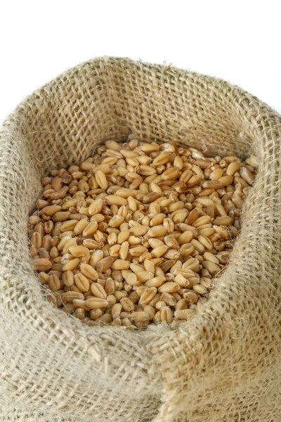 Ripe wheat — Stock Photo, Image