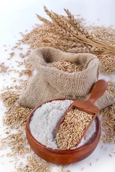 Harina de grano entero — Foto de Stock