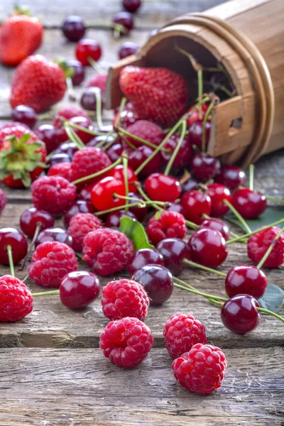 Maliny, třešně a jahody — Stock fotografie
