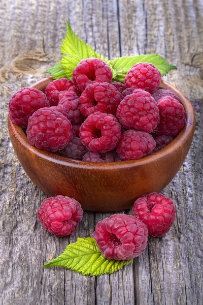 Himbeeren — Stockfoto