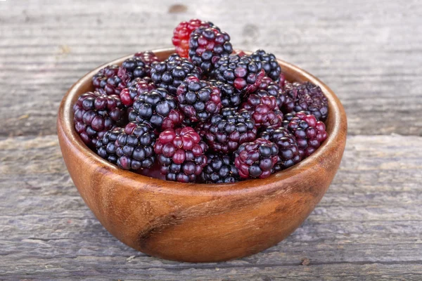 Brombeeren — Stockfoto