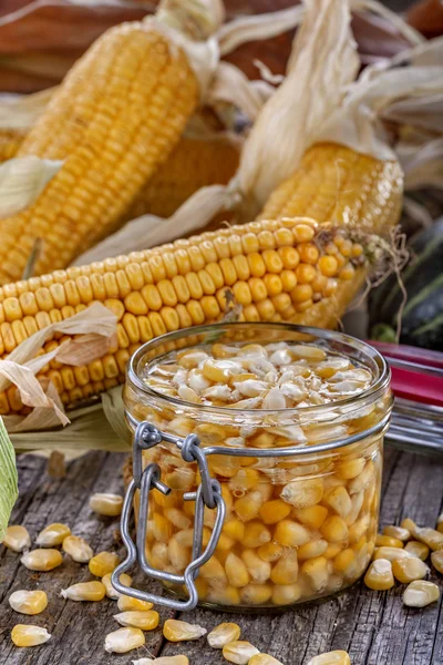 Caned corn — Stock Photo, Image