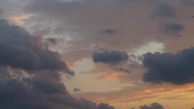 Güzel günbatımı gökyüzü bulutlarla, kuşlar havada süzülüyor. Dramatik bulutlar gökyüzünde yavaşça süzülür. Atmosferik video. Rahatlama, huzur, seyahat, özgürlük kavramı. Tam HD video görüntüleri.