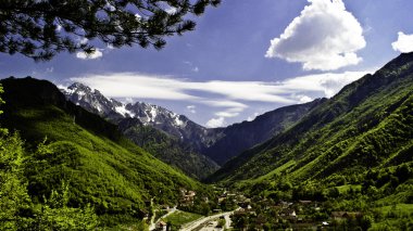 Bosnalı doğa