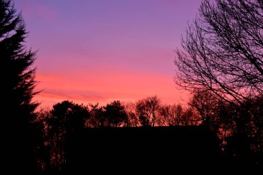 Picturesque view of a beautiful bright sunset with the colorful sky of purple, orange, red, and yellow over tree silhouettes surrounding a house silhouette.