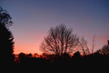 Idyllic sunset light on the sky with the silhouette of trees in the field.