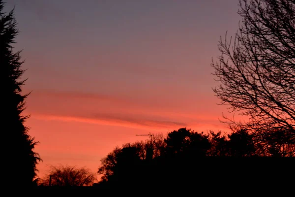 Dramatic sky with the blue and orange light of sunset over tree silhouettes.