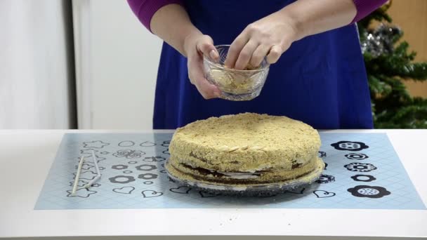 Geroosterde amandel segmenten bovenop cake — Stockvideo