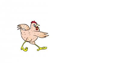 sıçrayan yolunmuş tavuk