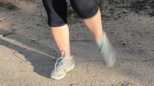 Mosquitos mordem as pernas de uma mulher — Vídeo de Stock