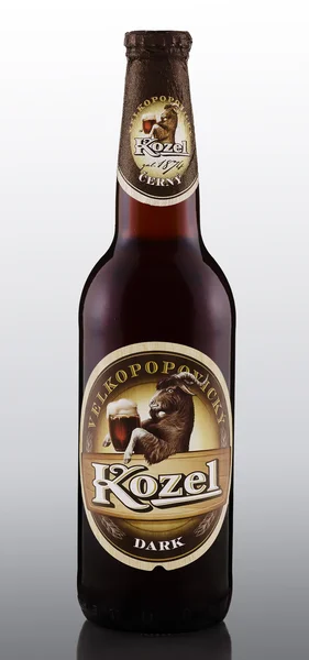 Бутылка пива Kozel Dark — стоковое фото