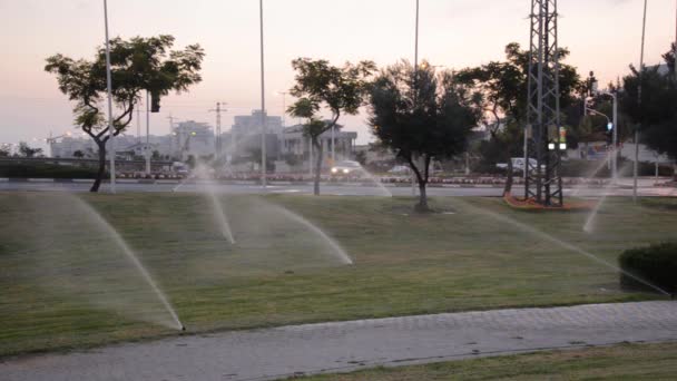 Tidig morgon vattning i stadsparken — Stockvideo