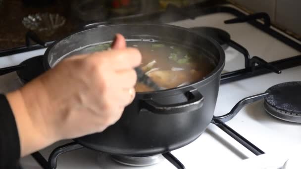 Rich seafood soup cooking — Stock Video