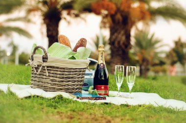 piper heidsieck şampanya ile piknik