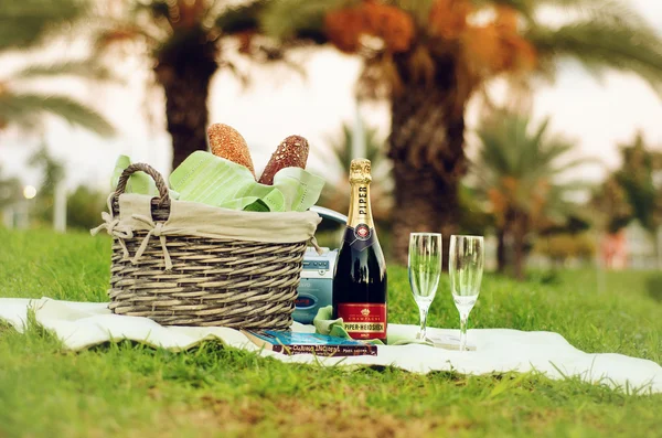 Picnic with Piper Heidsieck Champagne — Stock Photo, Image