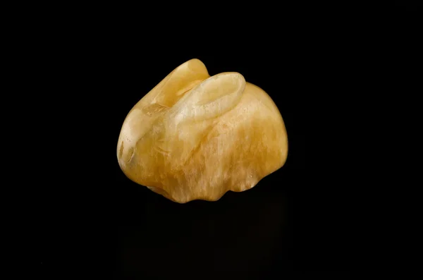 Coniglio aragonite — Foto Stock