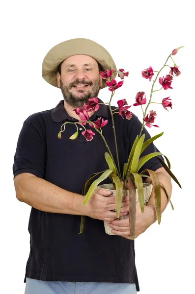 Florist med orkidé — Stockfoto