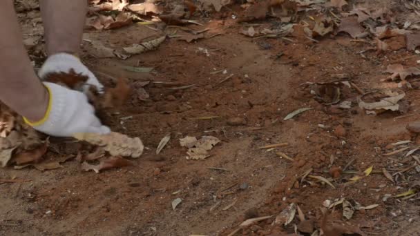 Quelqu'un prend un disque dur sous terre — Video