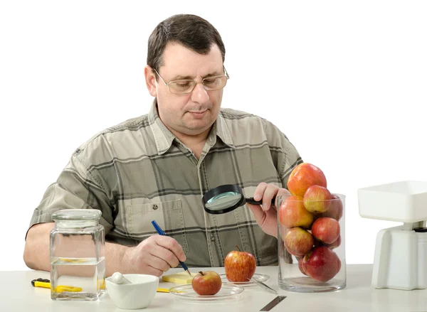 Especialista em fitocontrole inspeciona o aparecimento de maçãs — Fotografia de Stock