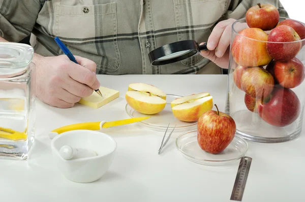 Halbierter Apfel im Phytokontrolllabor untersucht — Stockfoto