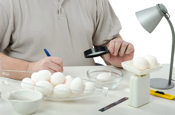 White chicken eggs carefully inspecting — Stock Photo, Image