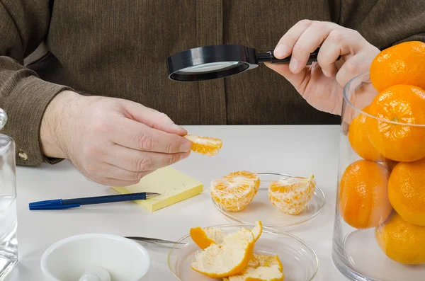 Mandarine slices carefully inspecting — Stock Photo, Image