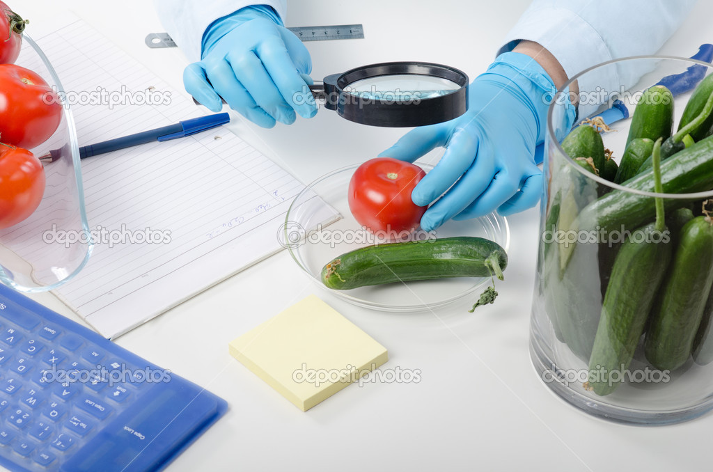 Tomato inspected in phytocontrol laboratory