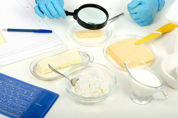 Mains inspectant un fromage en laboratoire phytocontrol Royaltyfria Stockbilder