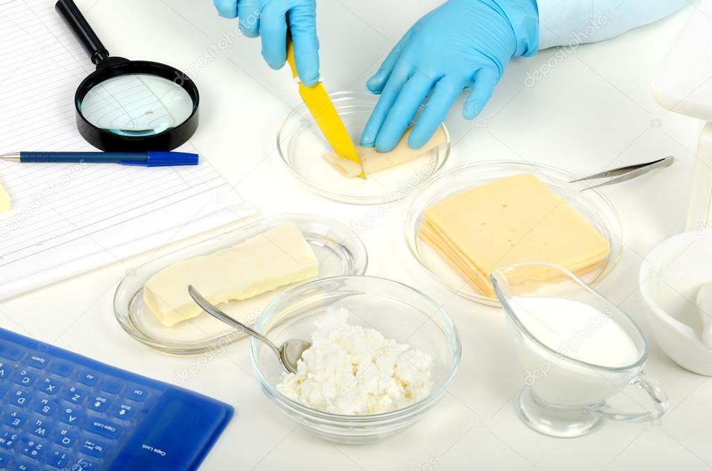 Hands cutting a cheese in phytocontrol laboratory