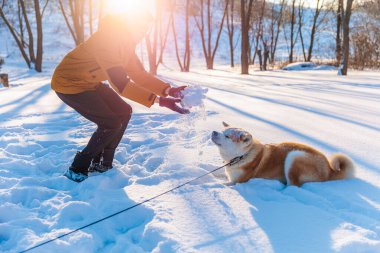 Park yerinde Akita Inu köpeği olan genç adam. Karlı kış arkaplanı. Güneşli bir gün. Bir adamla köpek arasındaki arkadaşlık kavramı..