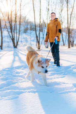 Park yerinde Akita Inu köpeği olan genç adam. Karlı kış arkaplanı. Güneşli bir gün. Bir adamla köpek arasındaki arkadaşlık kavramı..