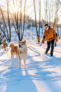 Park yerinde Akita Inu köpeği olan genç adam. Karlı kış arkaplanı. Güneşli bir gün. Bir adamla köpek arasındaki arkadaşlık kavramı..