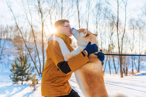 Park yerinde Akita Inu köpeği olan genç adam. Karlı kış arkaplanı. Güneşli bir gün. Bir adamla köpek arasındaki arkadaşlık kavramı..