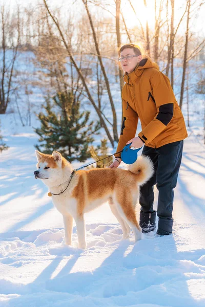 Junger Mann Mit Akita Inu Hund Park Verschneite Winterlandschaft Sonniger — Stockfoto