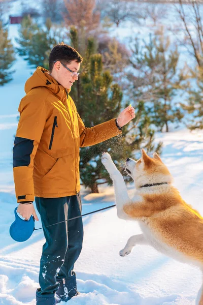 Молодой Человек Собакой Акита Ину Парке Снежный Зимний Фон Солнечный — стоковое фото