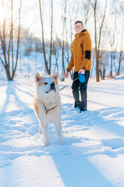 Egy Fiatalember Akita Inu Kutyával Parkban Havas Téli Háttér Napsütéses Jogdíjmentes Stock Fotók