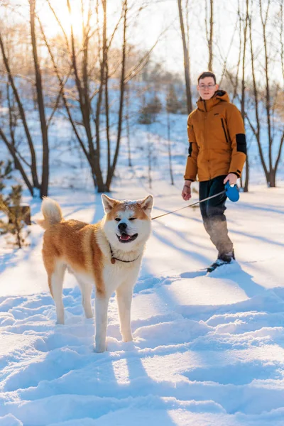 Egy Fiatalember Akita Inu Kutyával Parkban Havas Téli Háttér Napsütéses Stock Fotó