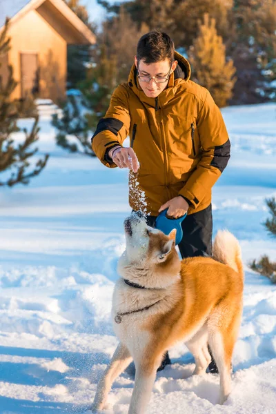 Park Yerinde Akita Inu Köpeği Olan Genç Adam Karlı Kış Telifsiz Stok Fotoğraflar