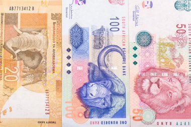 20 50 100 Güney Afrika para birimi rand izole kapatmak