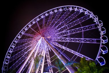 dönme dolap ve rollercoaster hareketli eğlence parkı