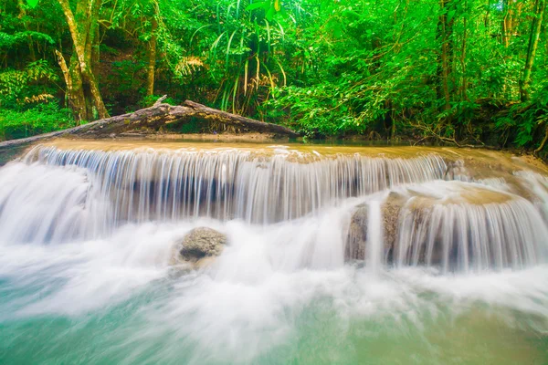 Floresta profunda da selva Parque Nacional da Cachoeira de Erawan — Fotografia de Stock